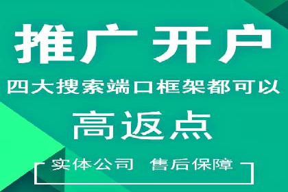 百度广告推广案例解析